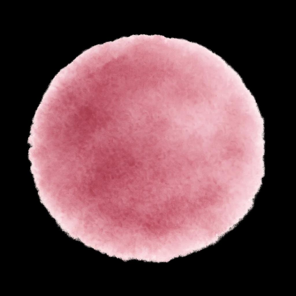 Decorative circle icon